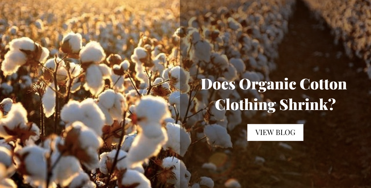Does Organic Cotton Clothing Shrink? - Buy on Upcycleluxe
