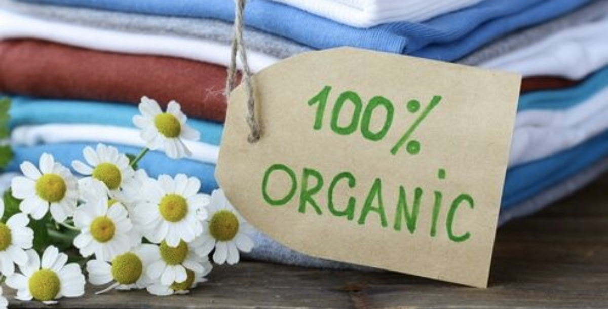 Sustainable Clothing: Embracing Organic Fashion For An Eco-Friendly Fu ...