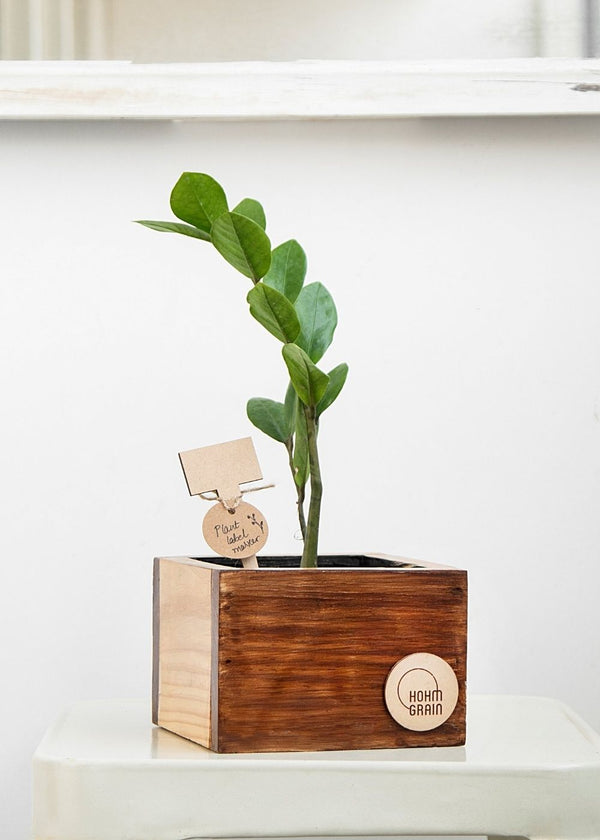 Hohmgrain 4" Cube Planter with Grow Bag