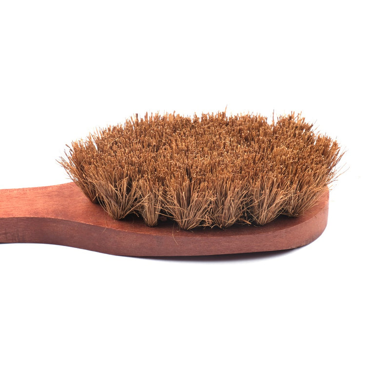 Scrapshala Plastic-Free 100% Biodegradable Natural Coir Dry Body Brush with Handle