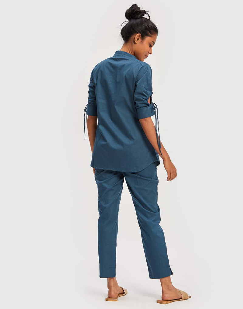 Reistor The Goes with Everything Poplin Pant in Blue
