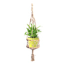 Upcycled Handmade Planter In Cotton Macrame
