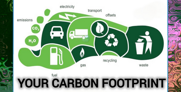 The Impact of Your Carbon Footprint on the Planet: A Call to Action