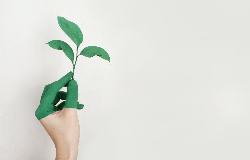 A hand with green fingers holding a leaf