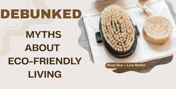 5 Myths About Eco-Friendly Living Debunked