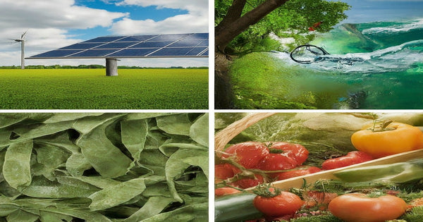 What is Sustainability? What are the Major Benefits of Sustainability in Daily Life?