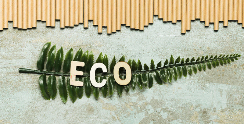 Top 30 Sustainable Clothing Brands in India