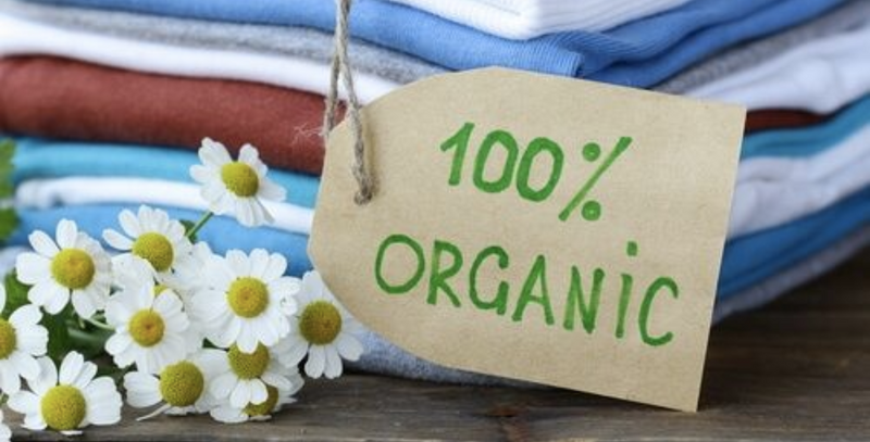 Sustainable Clothing Embracing Organic Fashion for an Eco