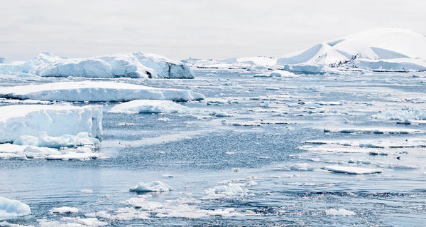 Arctic Atlantification: Climate Change's Impact on Polar Waters