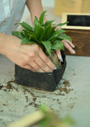 Hohmgrain 4" Cube Planter with Grow Bag