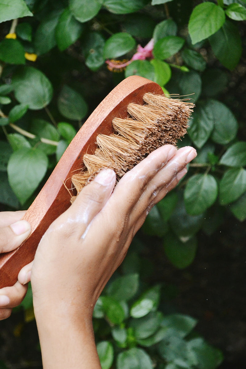 Almitra Sustainables Coconut Fiber - Dry Body Brush