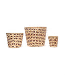 GreenKraft Jodhpur Jaali Planter