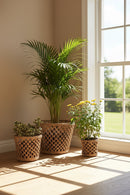 GreenKraft Lucknow Jaali Planter