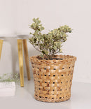 GreenKraft Jodhpur Dunes Planter