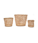 GreenKraft Lucknow Jaali Planter