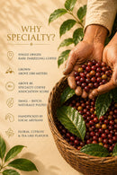 Saakya 100% Arabica Himalayan Coffee Special Blend | Ground 250g