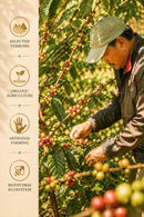 Saakya 100% Arabica Himalayan Coffee Medium Roast | Whole Beans 250g