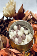 Cinnamon Vanilla Beads - 30 Gms