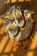 Aalay Itr ~ Variety Pack