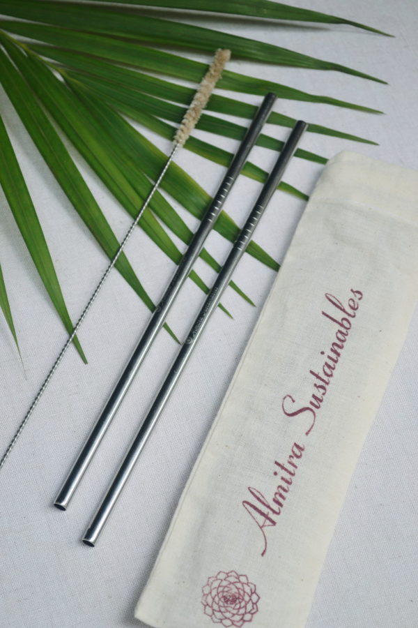 Almitra Sustainables Stainless Steel straw (Straight) Pack of 2 with 1 Cleaner