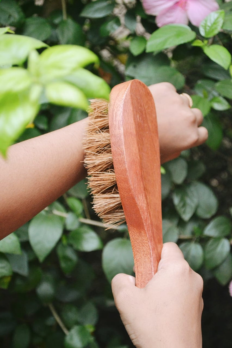 Almitra Sustainables Coconut Fiber - Dry Body Brush