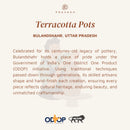 Pravaah Rasal (रसाल) XL - 100% soy-wax candle | Zero Soot Candle | Mango Coconut