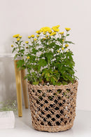 GreenKraft Lucknow Jaali Planter - Set of 2