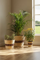 GreenKraft Kohima Weave Planter - Set of 2