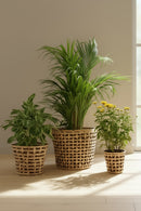 GreenKraft Jodhpur Jaali Planter - Set of 2