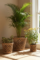 GreenKraft Lucknow Jaali Planter - Set of 2