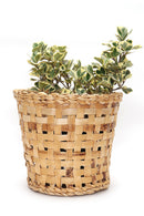 GreenKraft Jodhpur Dunes Planter - Set of 2