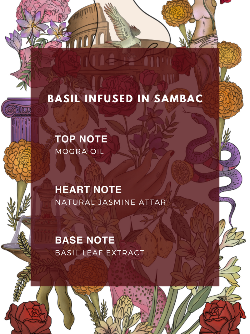 Naso Profumi Il Concentrata / Diffuser Basil infused in Sambac