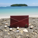 Ultra sleek Card holder