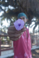 anushé pirani Recycled Cotton Men Fuschia Shirt