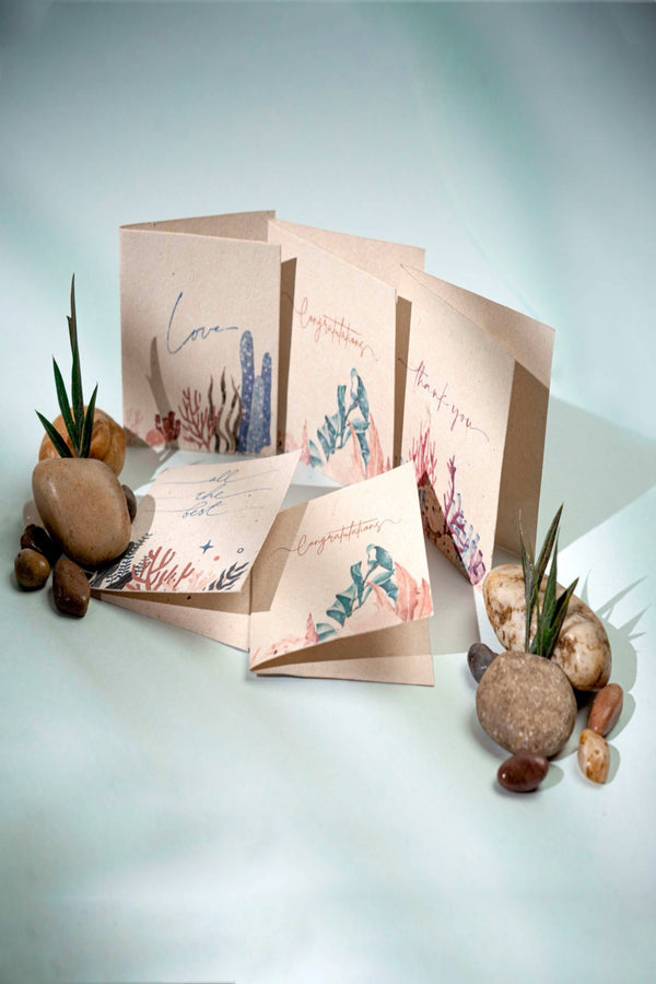 Samudra Gift Cards Set