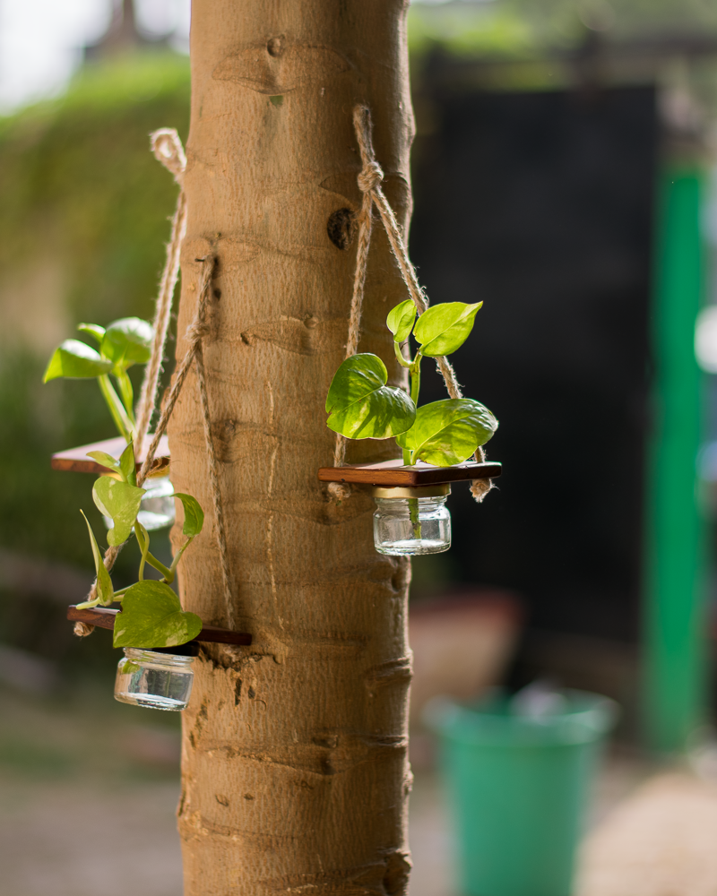 Scrapshala Upcycled Multipurpose Mini Jar Hanging Planter