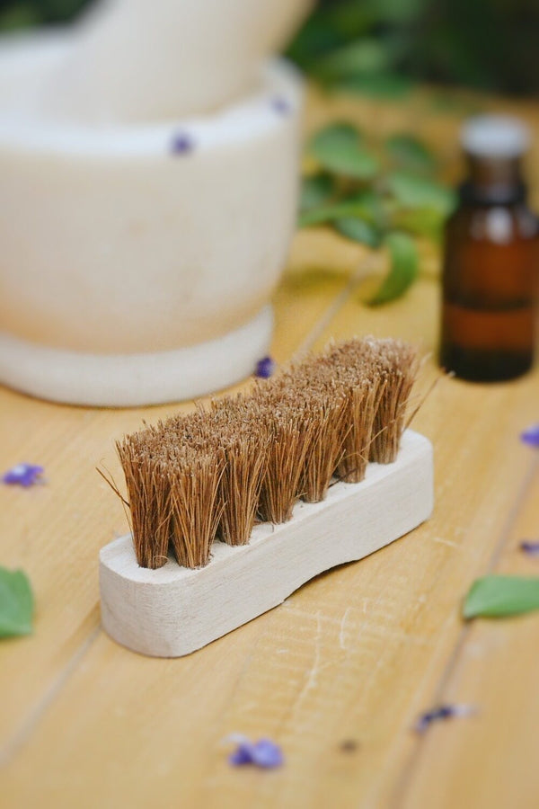 Almitra Sustainables Coconut Coir Pedicure Brush -(Self Care)