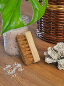 Almitra Sustainables Coconut Coir Pedicure Brush -(Self Care)