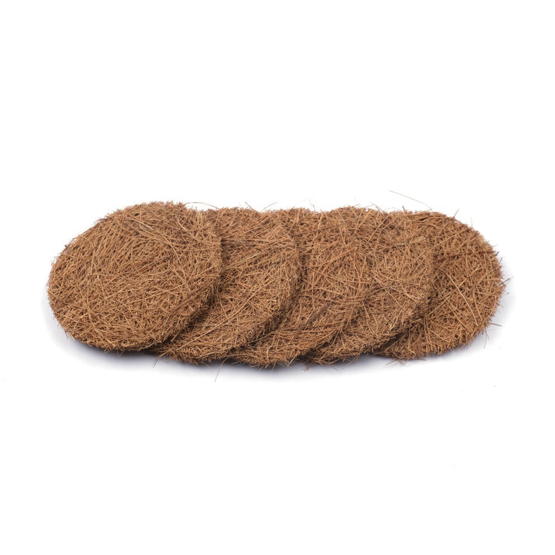 Scrapshala Plastic-Free Biodegradable Sturdy Natural Coir Dish Scrubber (Pack Of 5 Pads)