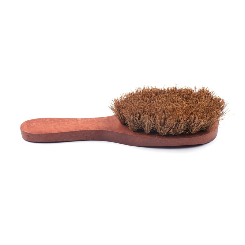 Scrapshala Plastic-Free 100% Biodegradable Natural Coir Dry Body Brush with Handle
