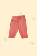 Tinylane Dino Baby Clothing - Jhabla, Legging, & CBM Set