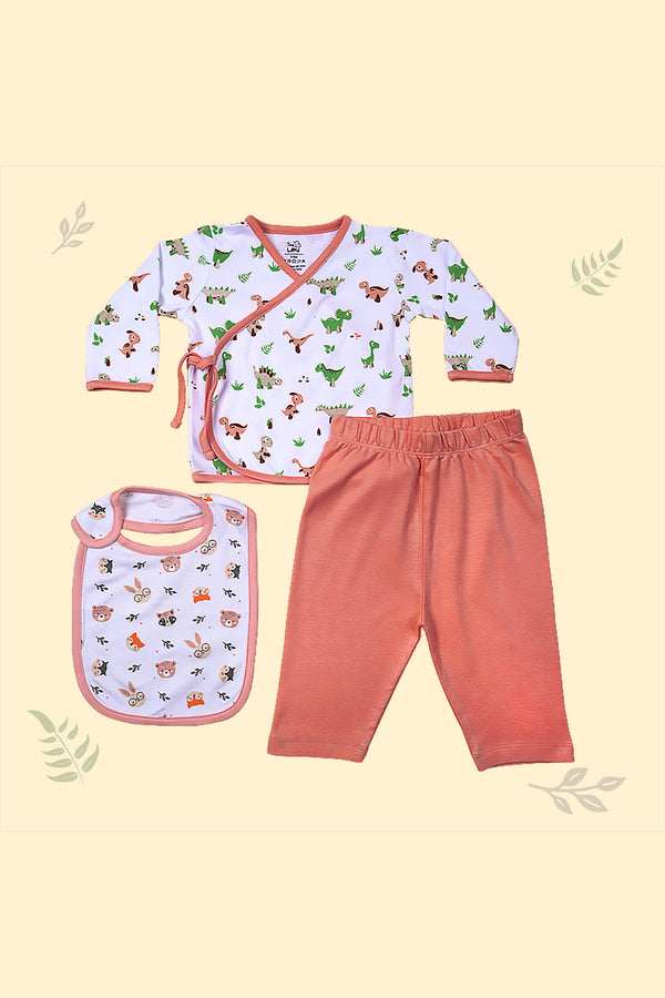 Tinylane Giggle Baby Clothing Set | Dino Jhabla, Legging, & Honey Bunny Bib