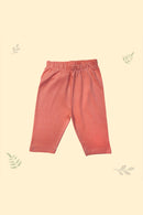 Tinylane Giggle Baby Clothing Set | Dino Jhabla, Legging, & Honey Bunny Bib