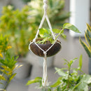 Scrapshala Prakriti Diwali Gift Hamper | Coconut Shell Hanging Planter with Macramé, Seed Jars, Plantable Seed Crackers, Cocopeat & Natural Wood Swastik Décor | Sustainable & Handcrafted in Banaras