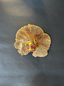 Upcycle Artisanal Forest Mushrooms for Decor and Culinary Use