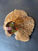 Upcycle Artisanal Forest Mushrooms for Decor and Culinary Use