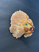 Upcycle Artisanal Forest Mushrooms for Decor and Culinary Use