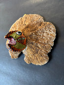 Upcycle Artisanal Forest Mushrooms for Decor and Culinary Use