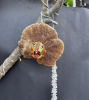 Upcycle Artisanal Forest Mushrooms for Decor and Culinary Use