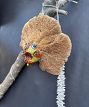 Upcycle Artisanal Forest Mushrooms for Decor and Culinary Use